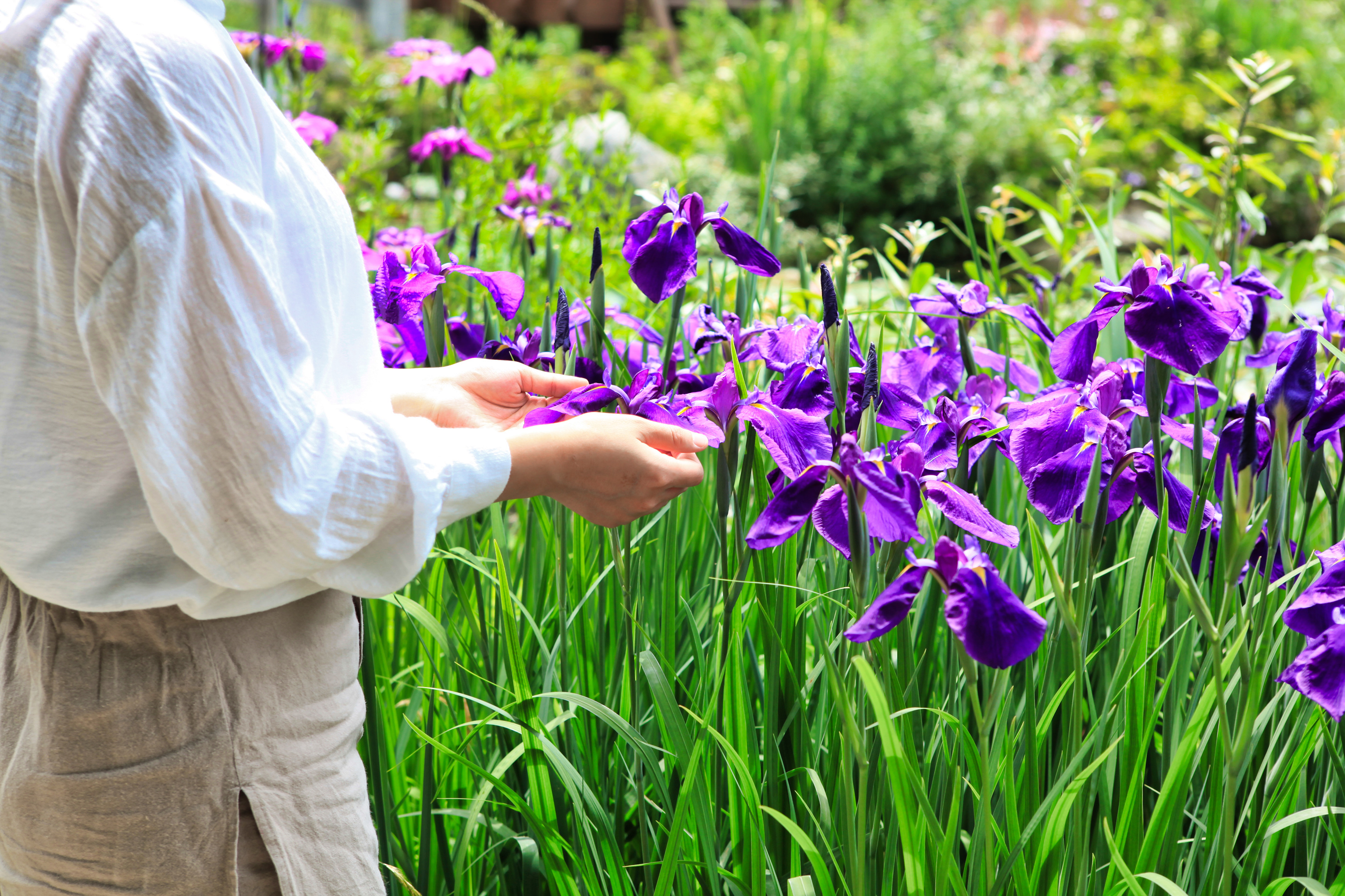 아침고요수목원 이미지