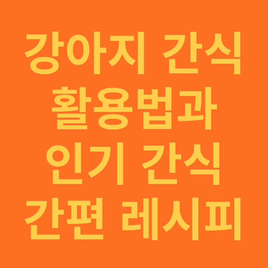 강아지 간식 활용법과 인기 간식 간편한 레시피