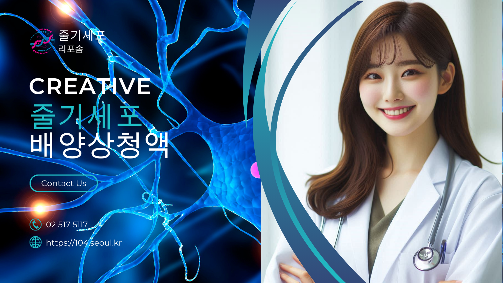 줄기세포 리포솜