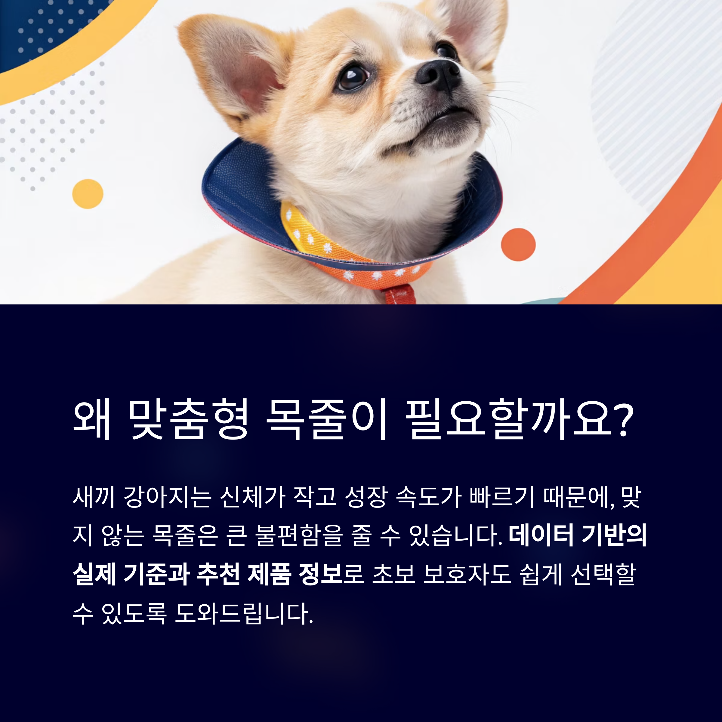 왜 맞춤형 목줄이 필요할까요?