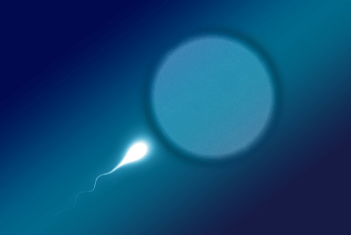 냉동난자 사용 보조생식술 지원금