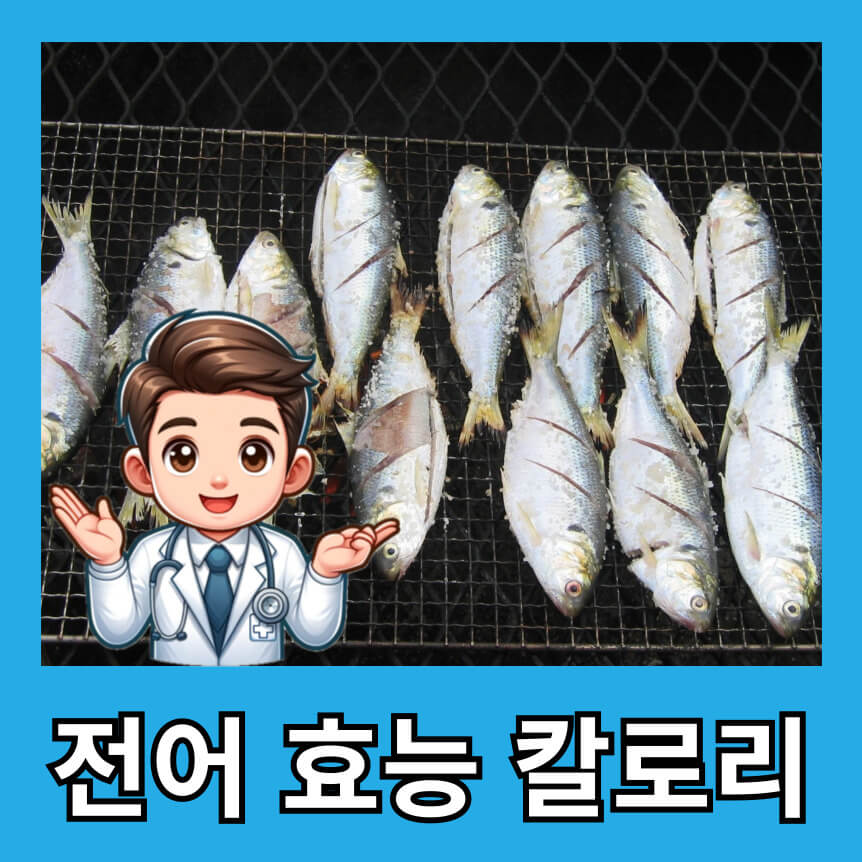 전어 효능 부작용 전어구이 전어회 전어조림 칼로리