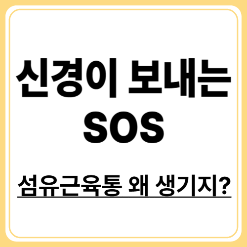왜 생기는 걸까? 섬유근육통의 주요 원인 5가지