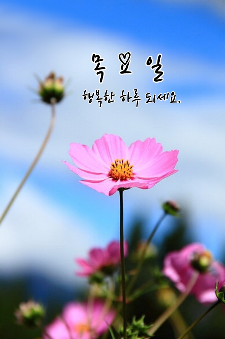 목요일 인사말 3