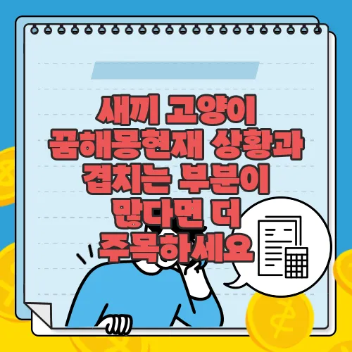 새끼 고양이 꿈해몽현재 상황과 겹치는 부분이 많다면 더 주목하세요