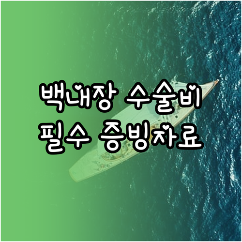 백내장 수술 실손 보험 청구 방법과 ..