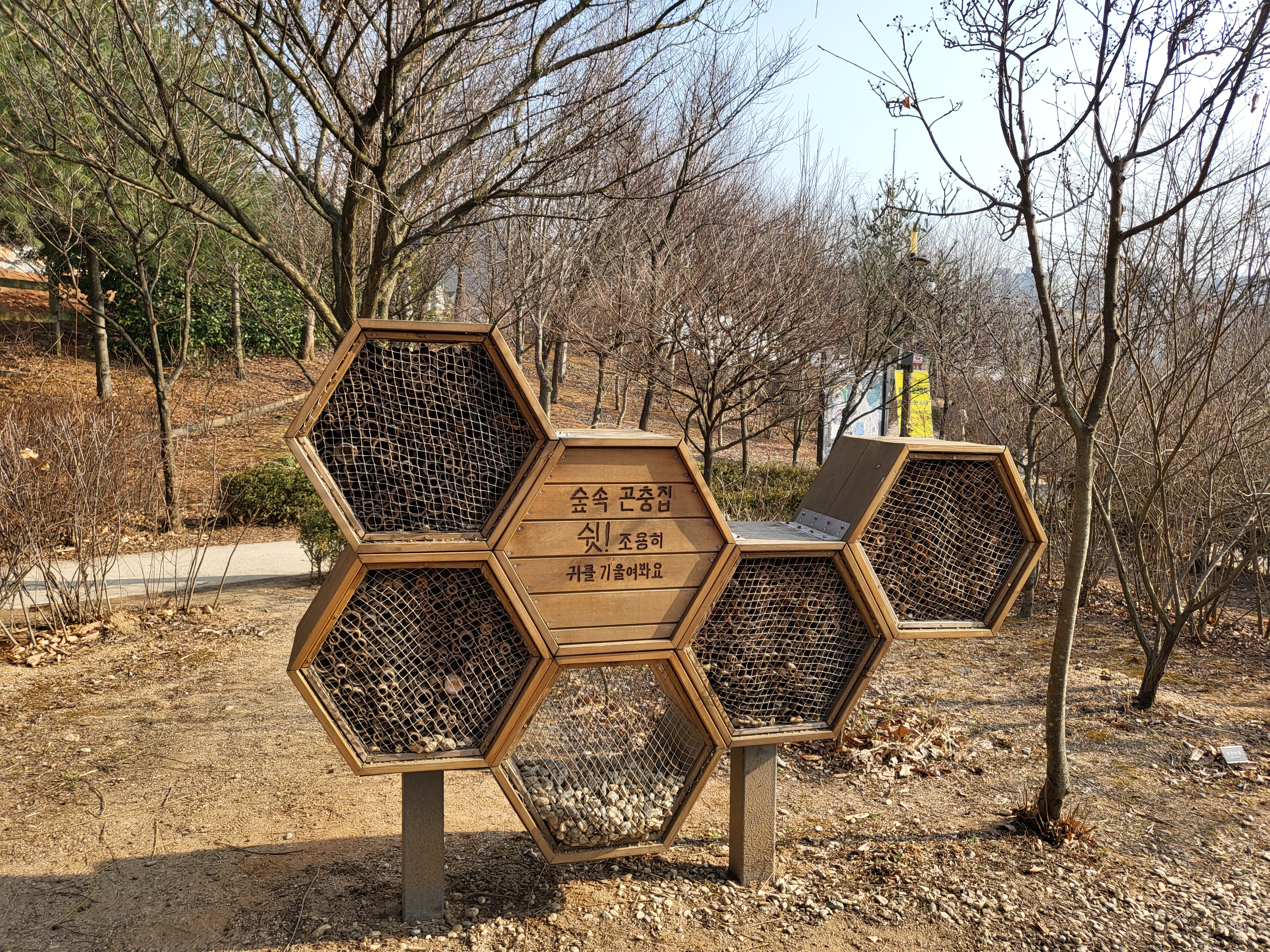 푸른수목원