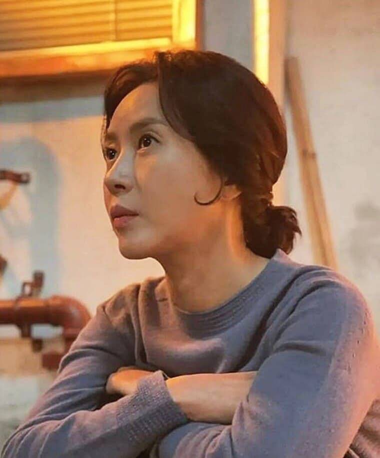 배우-김희정