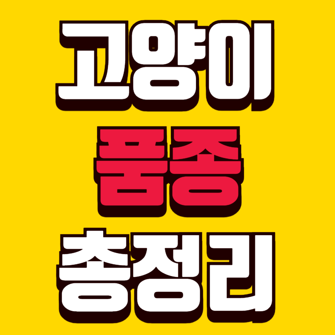고양이 품종 총정리 성격, 특징, 키우기 쉬운 순서까지 한눈에