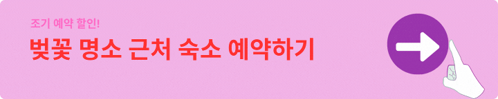 2025년 벚꽃 개화시기