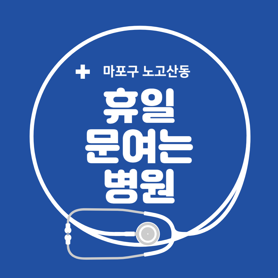 서울시 마포구 노고산동 일요일 진료 휴일 문 여는 병원