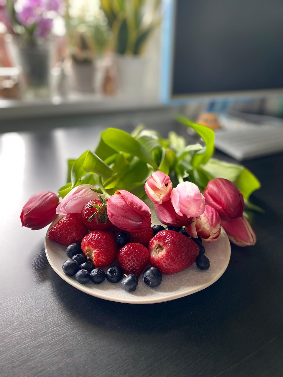 블루베리 수확시기