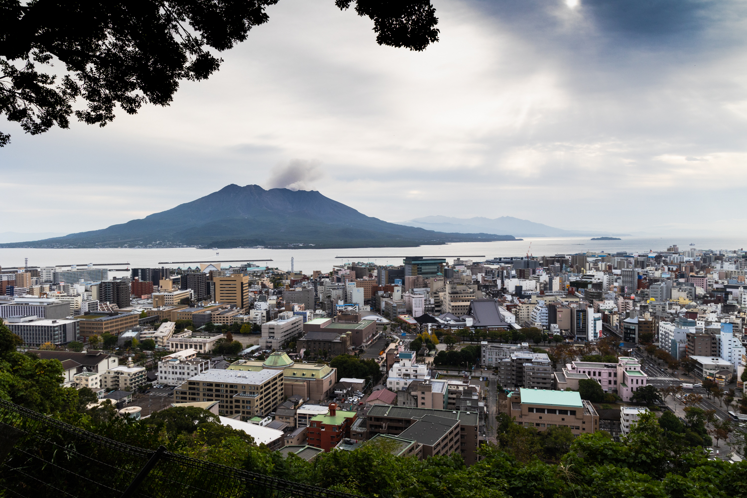 가고시마공원 사쿠라지마