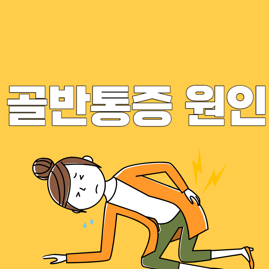 골반통증 원인