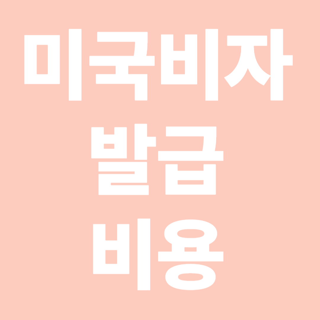 미국 비자 발급 비용 총정리