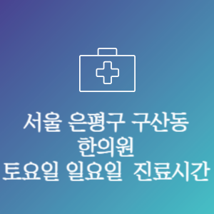 서울 은평구 구산동 주말 토요일 일요일 문여는 병원 진료시간