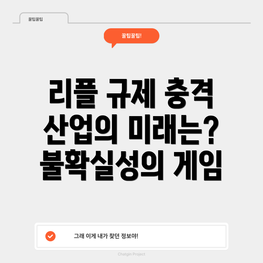 리플 규제