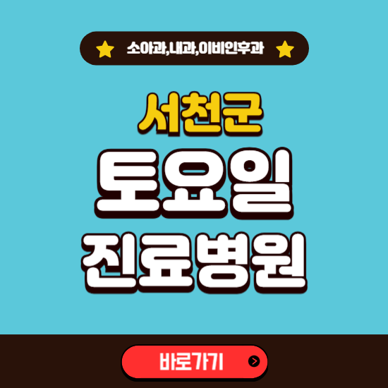 서천군 토요일 진료 병원 찾기 ❘ 주말 문여는 소아과, 내과, 이비인후과 리스트