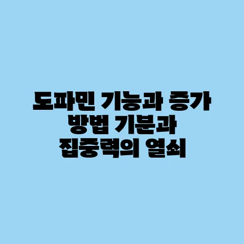 도파민 기능과 증가 방법 기분과 집중력의 열쇠
