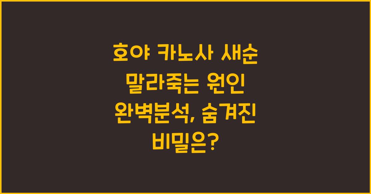 호야 카노사 새순 말라죽는 원인 완벽분석