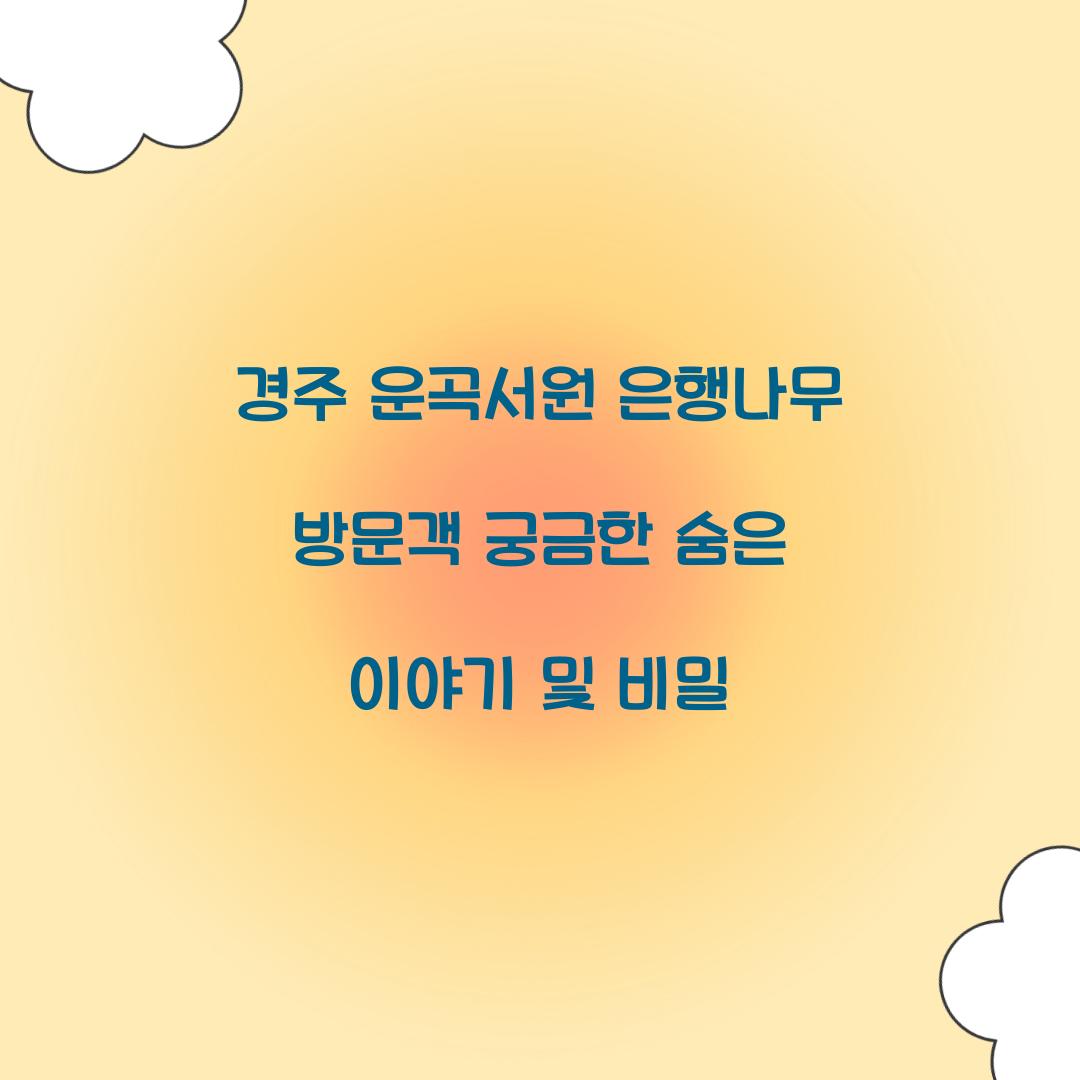 경주 운곡서원 은행나무