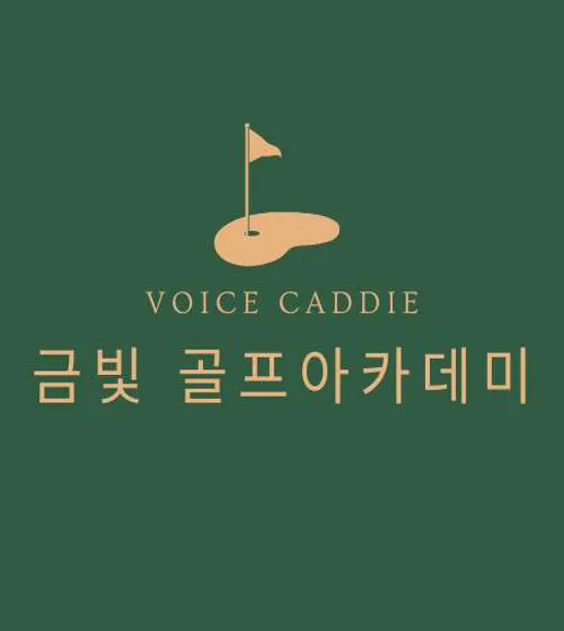 금빛 보이스캐디골프아카데미 내외점