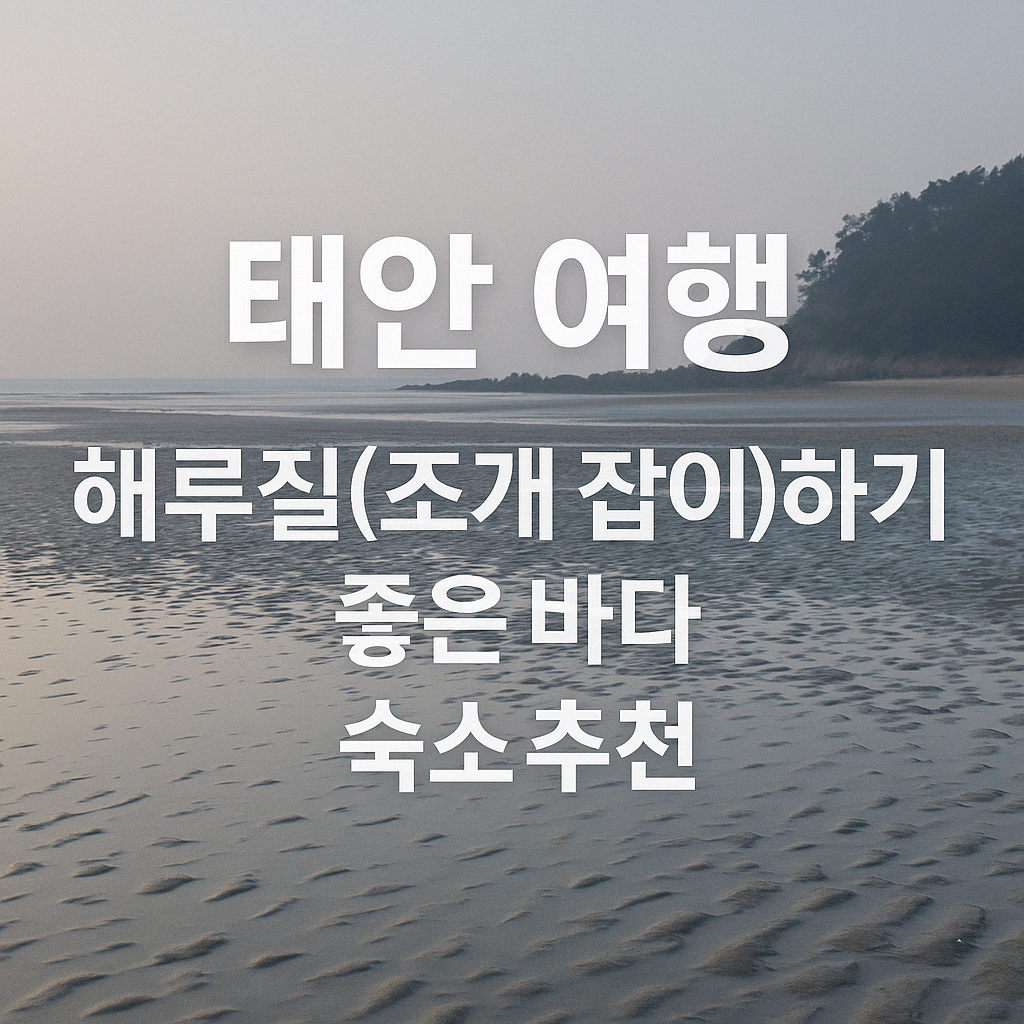 태안 여행, 해루질(조개 잡이)하기 좋은 바다,숙소 추천 썸네일 사진