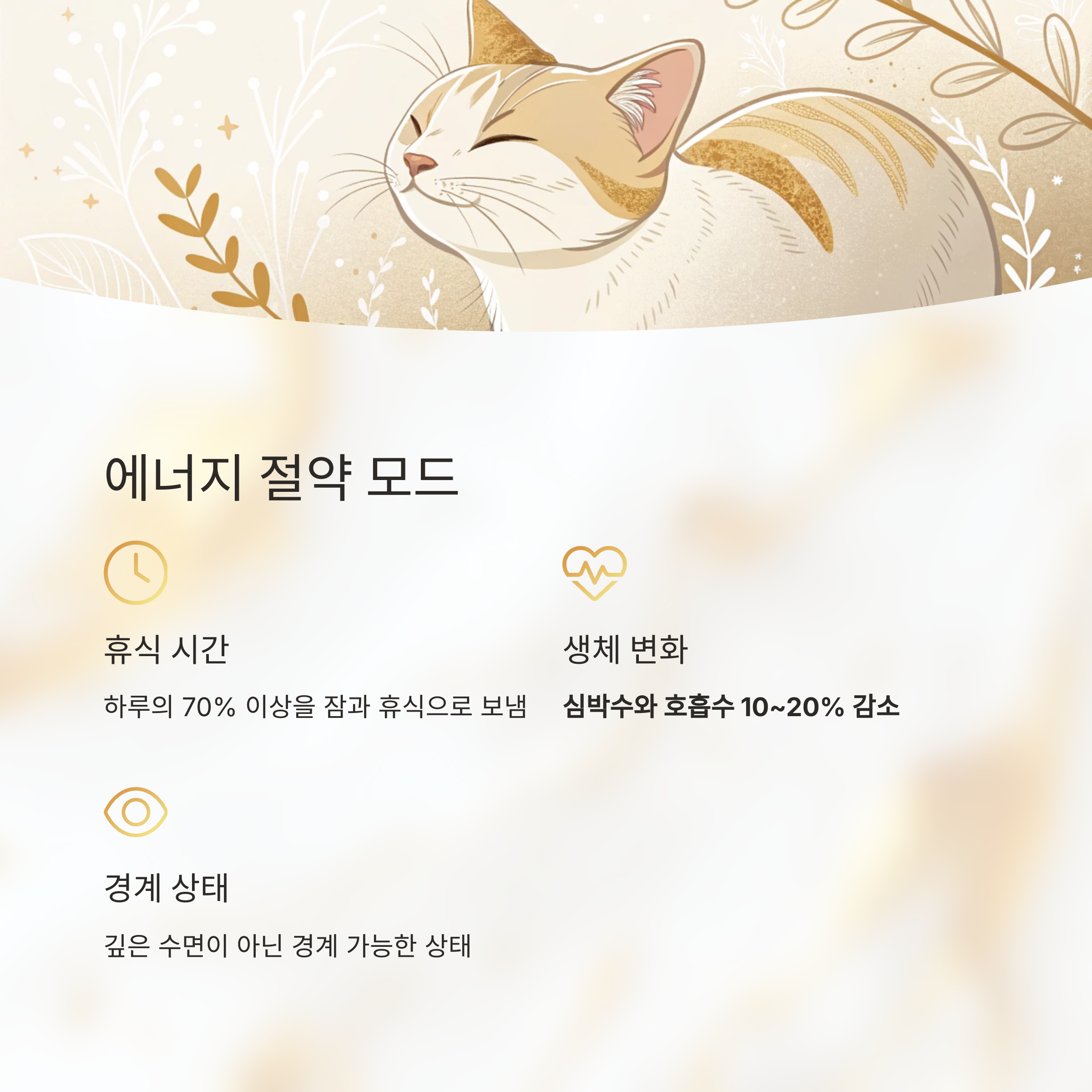 에[너지 절약 모드