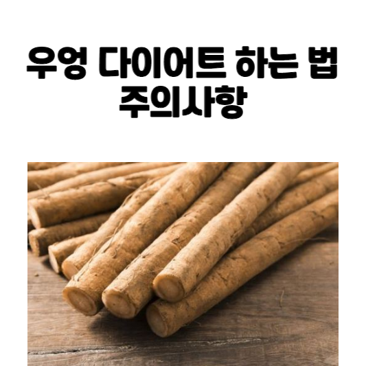 우엉 다이어트 하는 법, 주의사항