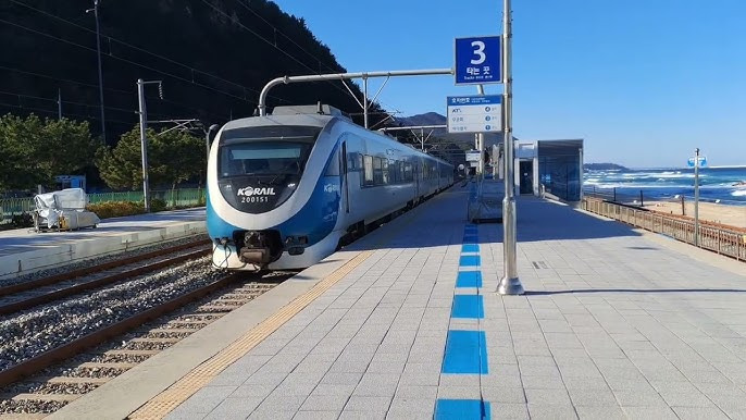 정동진역 누리로 무궁화호