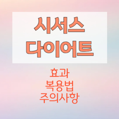 시서스-다이어트