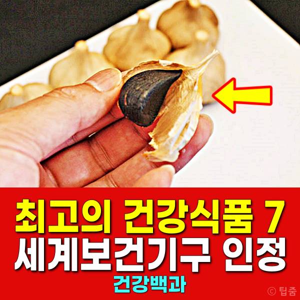 최고의 건강식품 세계보건기구 좋은음식 흑마늘