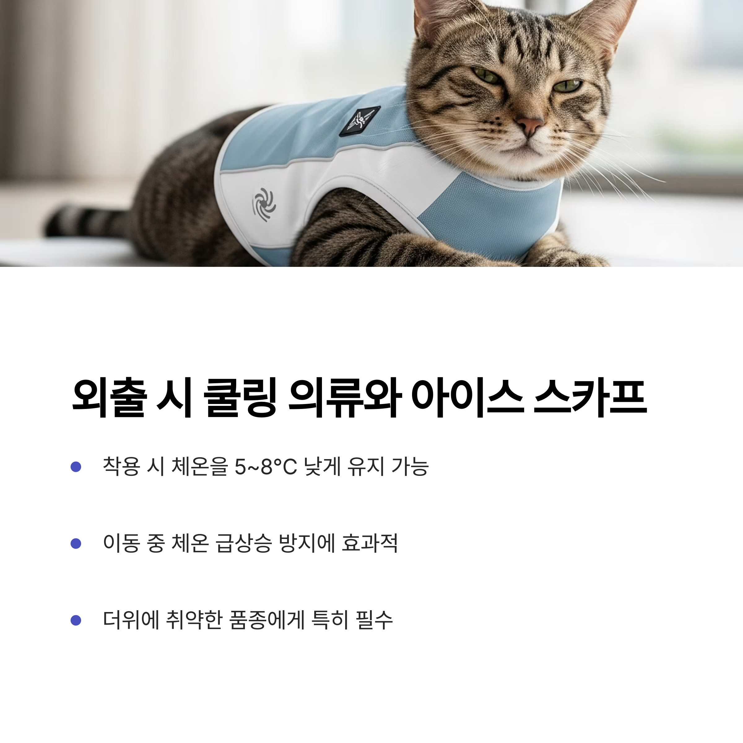 외출 시 쿨링 의류와 아이스 스카프