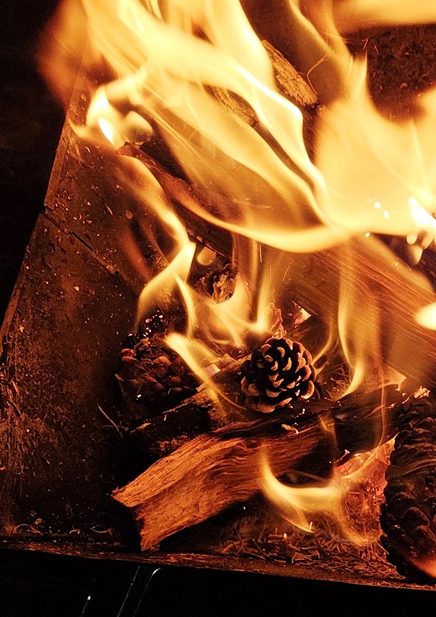 솔방울이 타는 모습