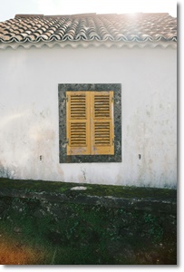 제습기 추천 가격 비교 원리 효과 2024