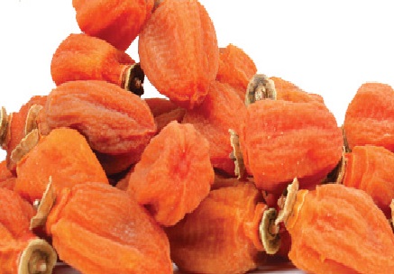 2025 상주곶감축제