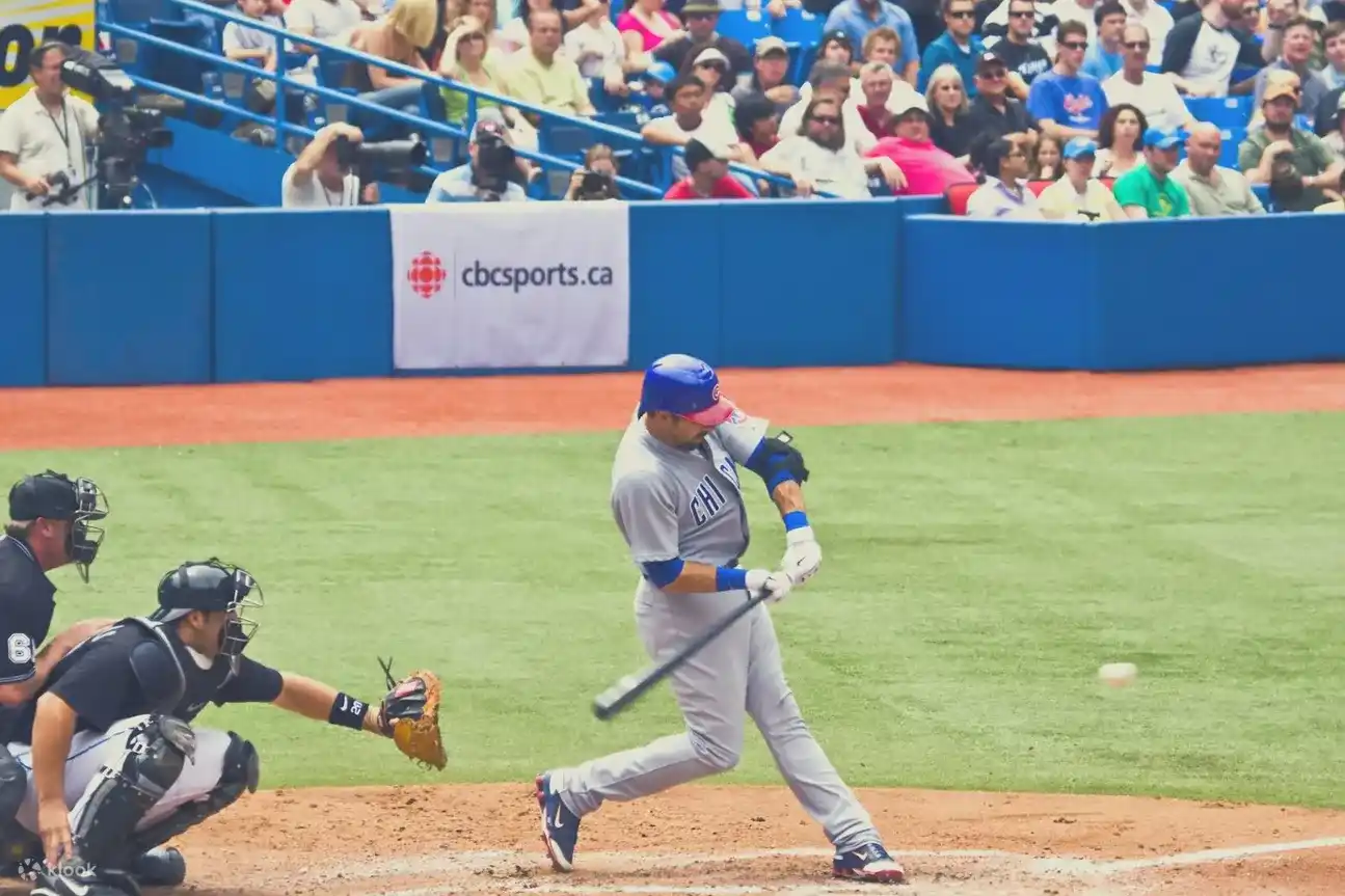 시카고 컵스 야구 티켓 예매 리글리 필드 MLB 직관 미국
