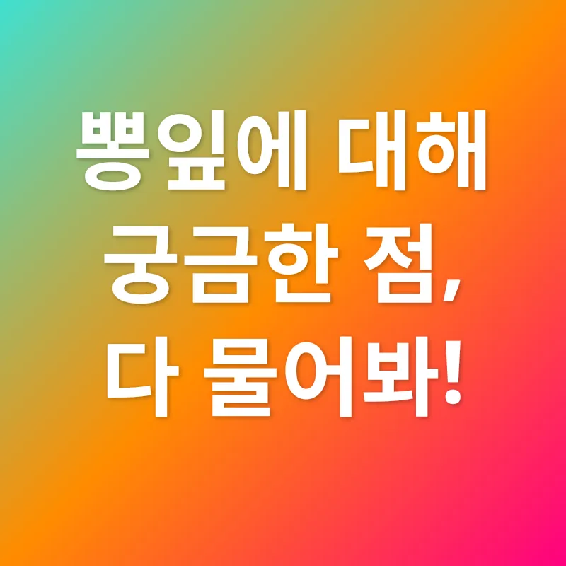 뽕잎의 효능_4
