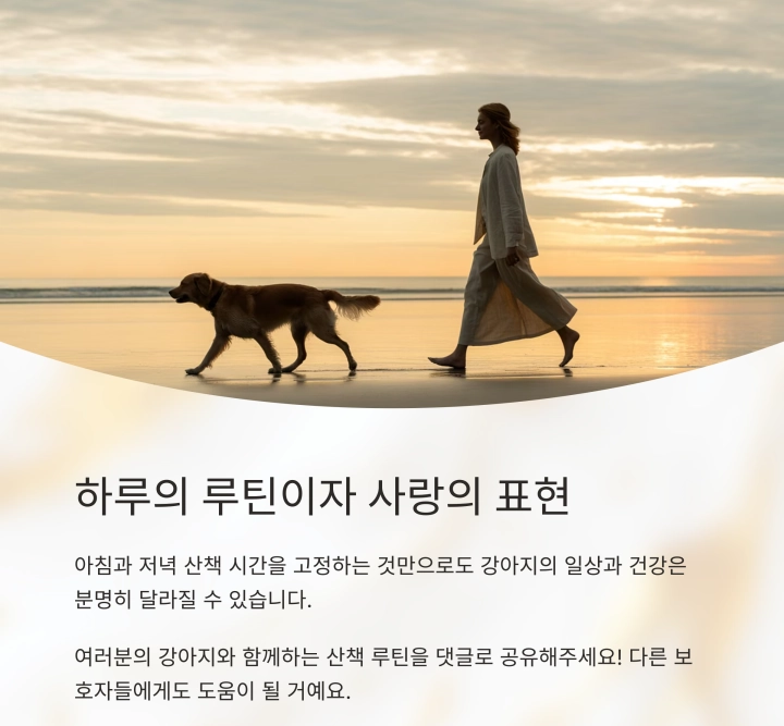 아침저녁 정해진 시간에 산책하는 강아지, 놀라운 변화의 시작