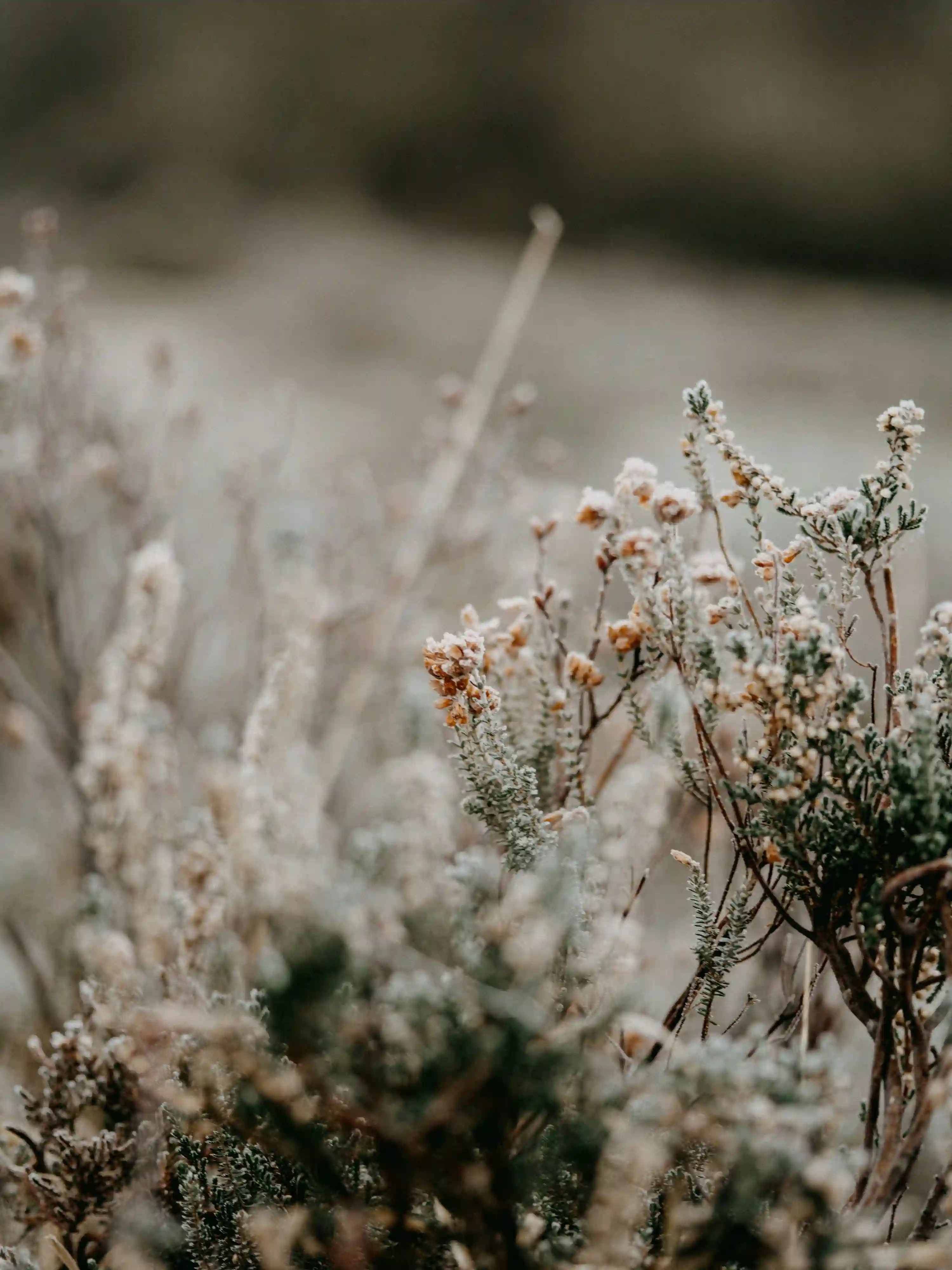 B형독감 잠복기 총정리 (+A형과 차이&middot;격리기간&middot;예방)