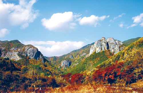 단풍 명소