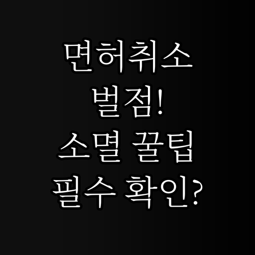 면허 취소 기준 벌점 누산 점수와 1..