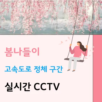 봄나들이 주말 고속도로 정체 구간 실시간 CCTV로 확인하는 법