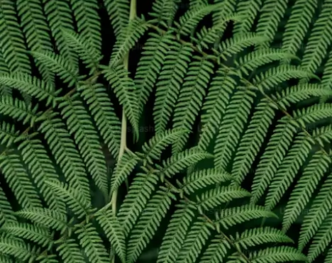 무료 이미지 사이트-Unsplash