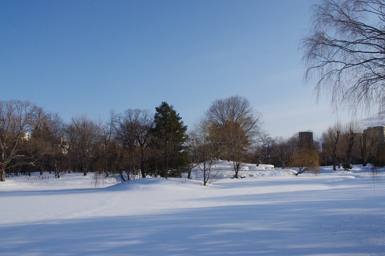 삿포로 vs 오키나와 비교