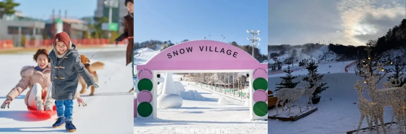 휘닉스평창 스노우빌리지 사진