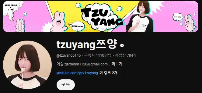 먹방-유튜버-순위-06위-쯔양