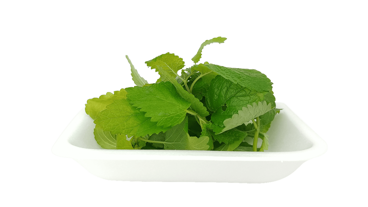 위경련 동반 입덧 완화 식품