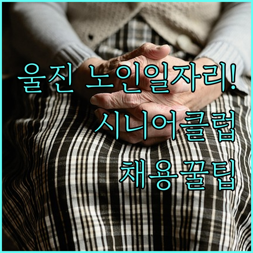 울진군 노인일자리 지원 방법과 시니어..