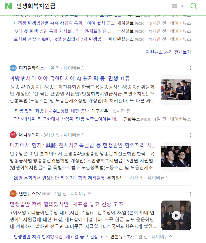 민생지원금 관련 뉴스2